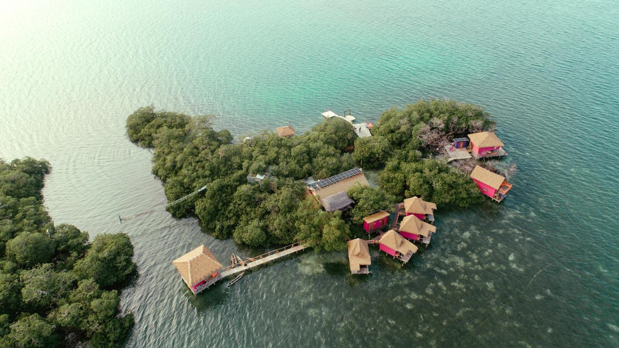 Urraca Monkey Island Eco Resort (Adults Only) Punta Laurel Zewnętrze zdjęcie