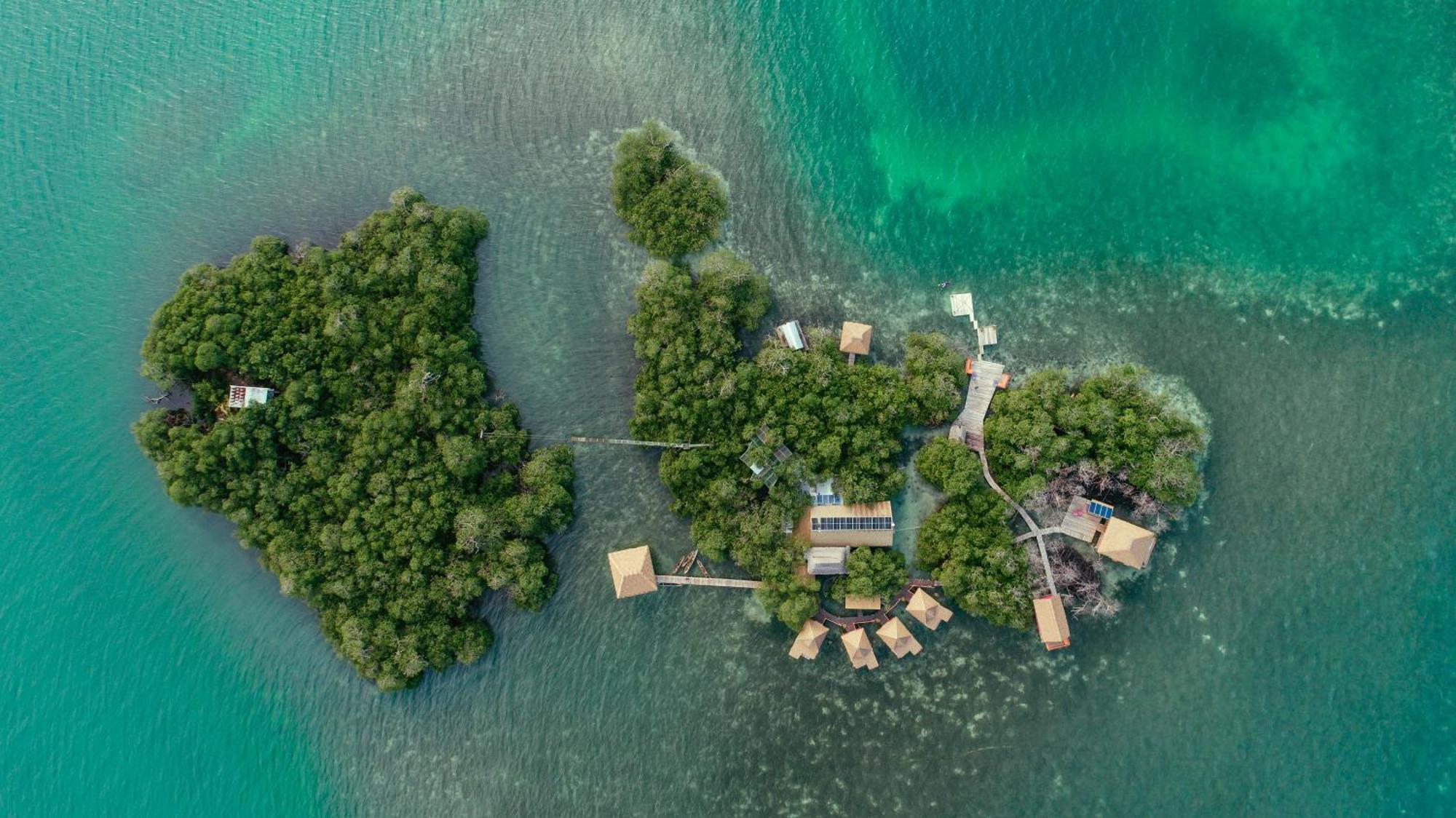 Urraca Monkey Island Eco Resort (Adults Only) Punta Laurel Zewnętrze zdjęcie