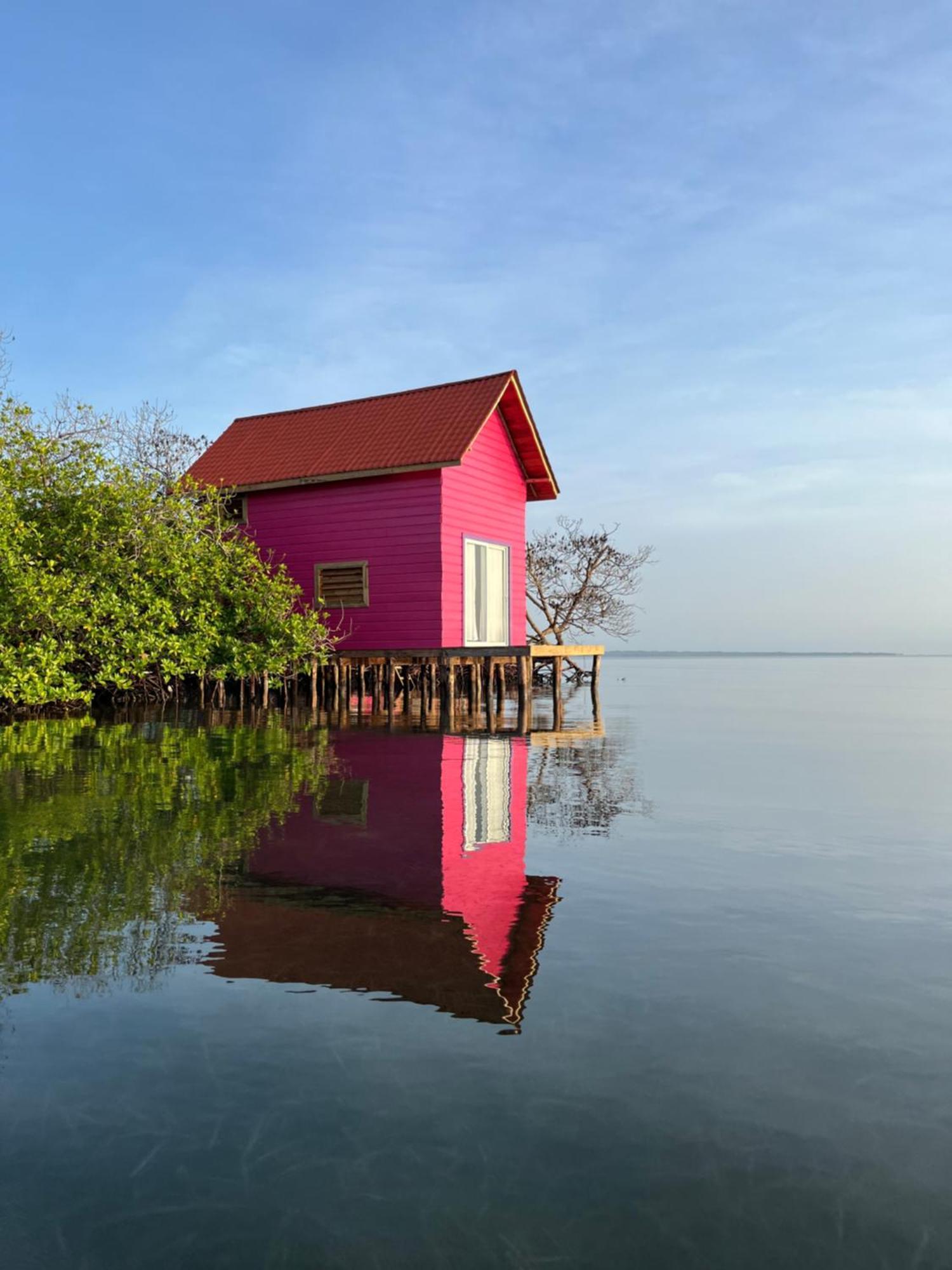Urraca Monkey Island Eco Resort (Adults Only) Punta Laurel Zewnętrze zdjęcie