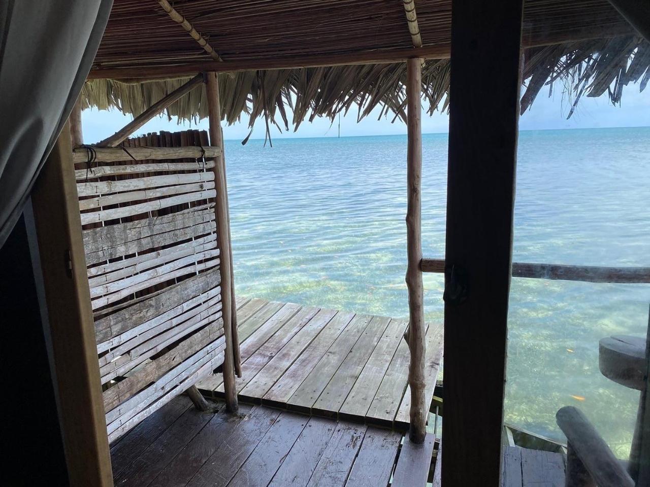 Urraca Monkey Island Eco Resort (Adults Only) Punta Laurel Zewnętrze zdjęcie