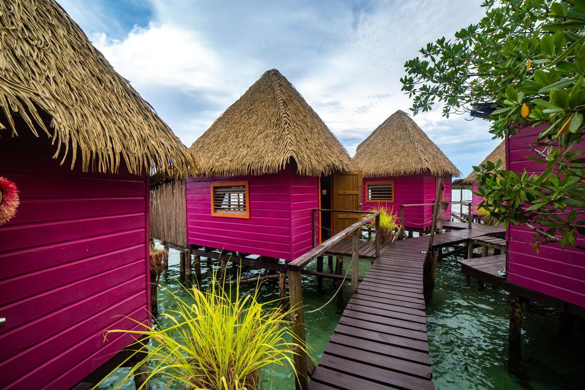 Urraca Monkey Island Eco Resort (Adults Only) Punta Laurel Zewnętrze zdjęcie