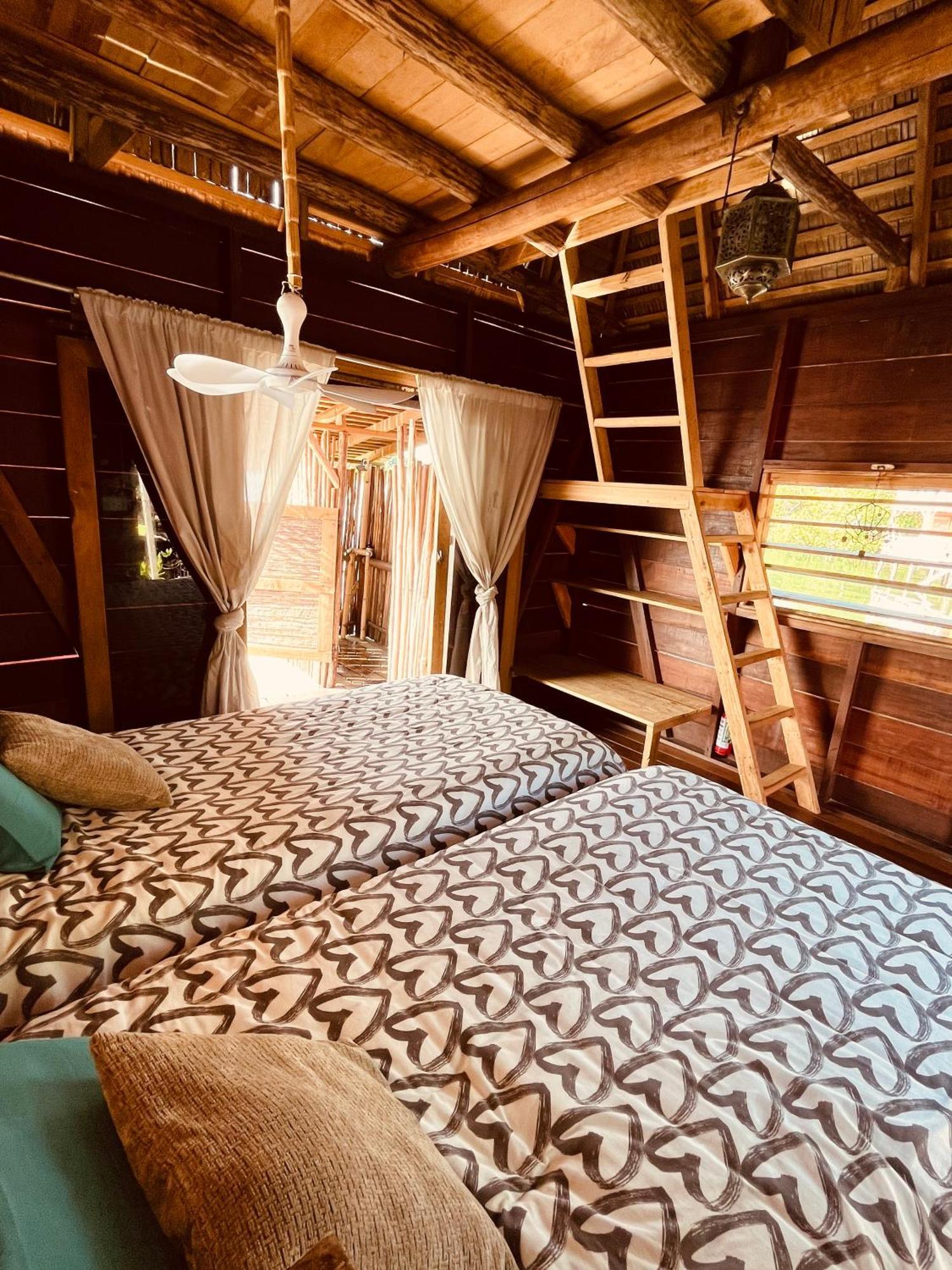 Urraca Monkey Island Eco Resort (Adults Only) Punta Laurel Pokój zdjęcie