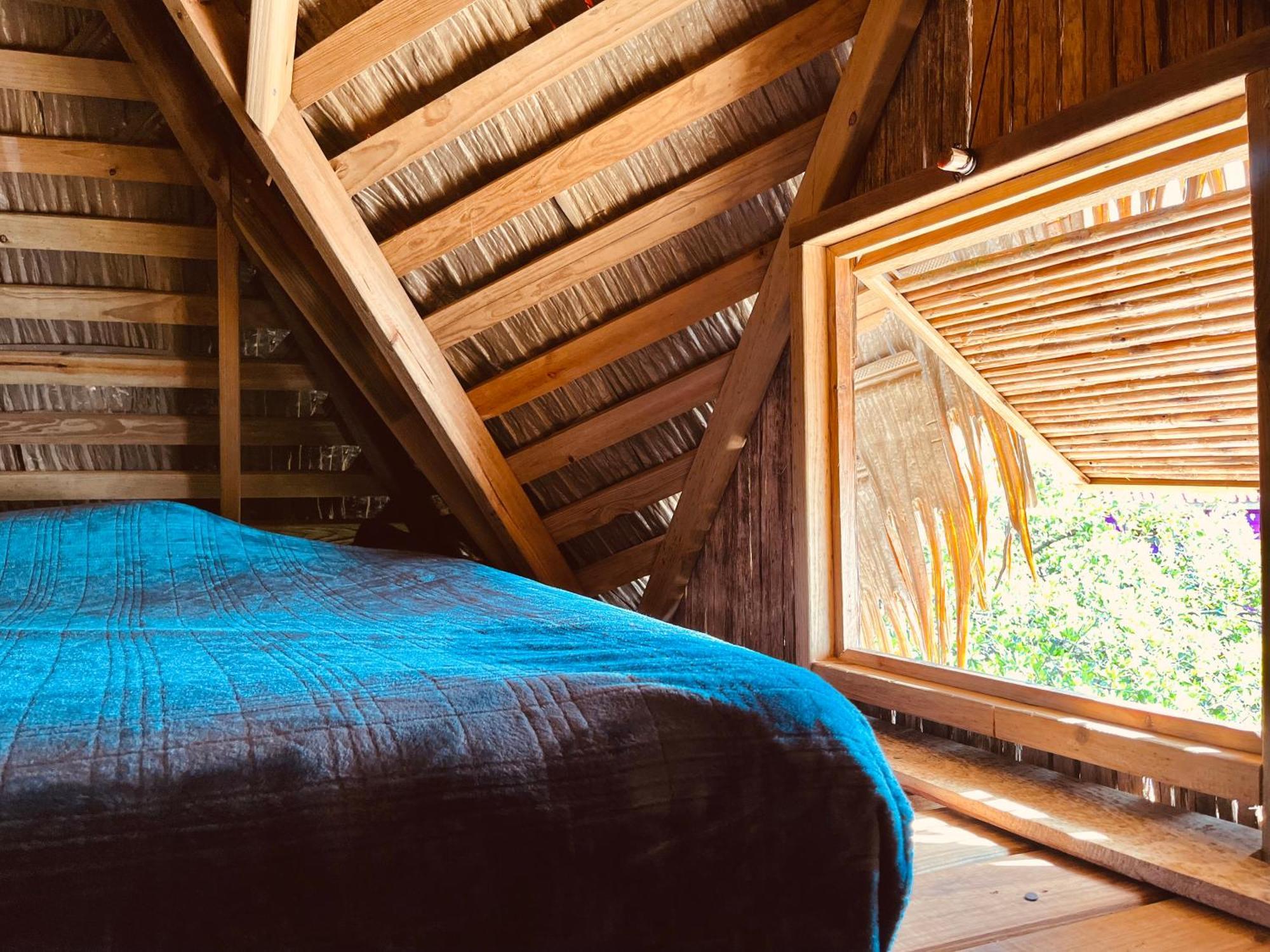 Urraca Monkey Island Eco Resort (Adults Only) Punta Laurel Pokój zdjęcie