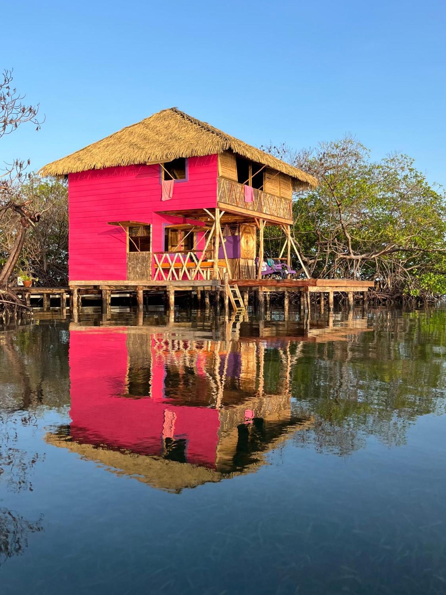 Urraca Monkey Island Eco Resort (Adults Only) Punta Laurel Pokój zdjęcie