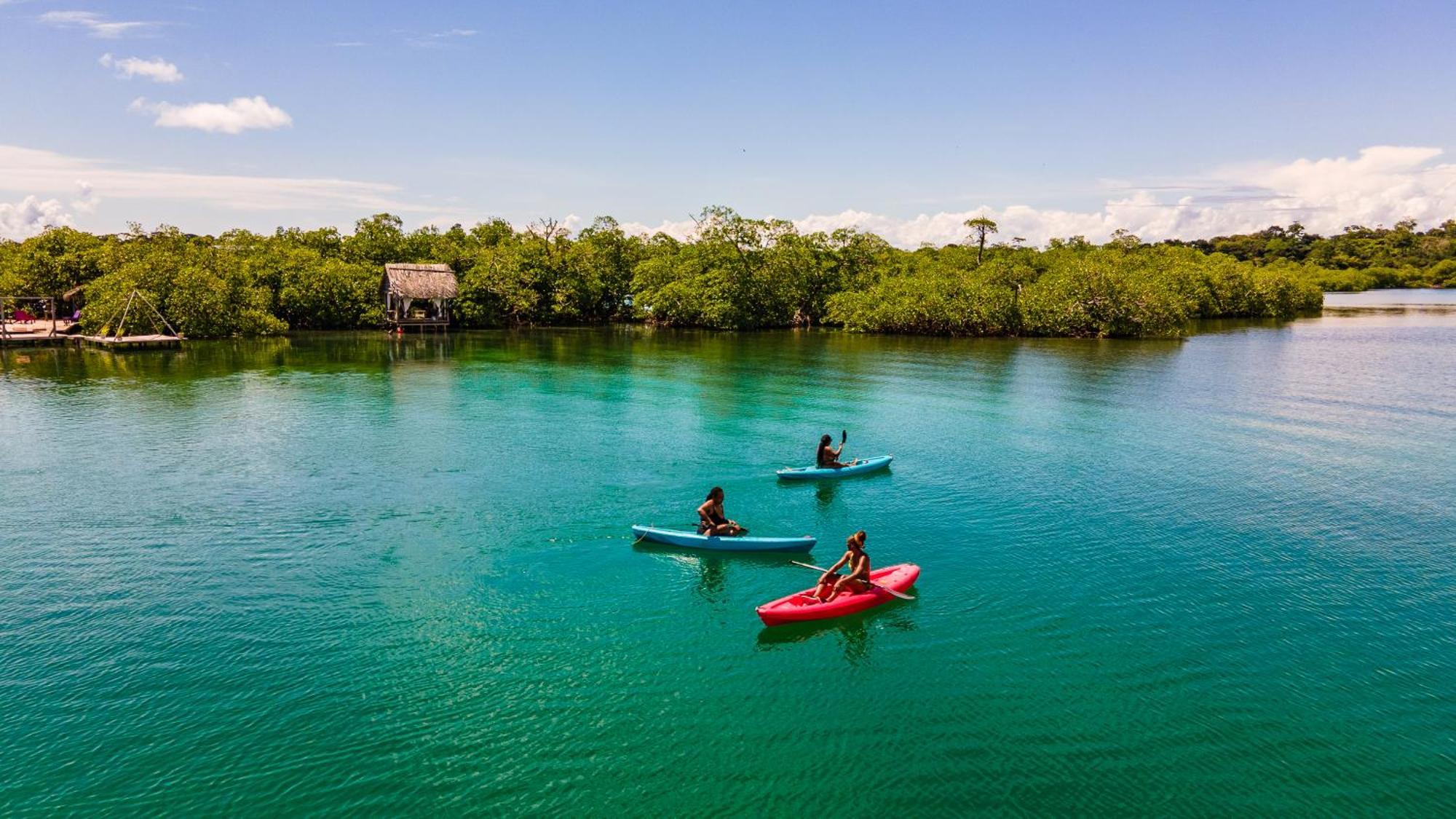 Urraca Monkey Island Eco Resort (Adults Only) Punta Laurel Zewnętrze zdjęcie