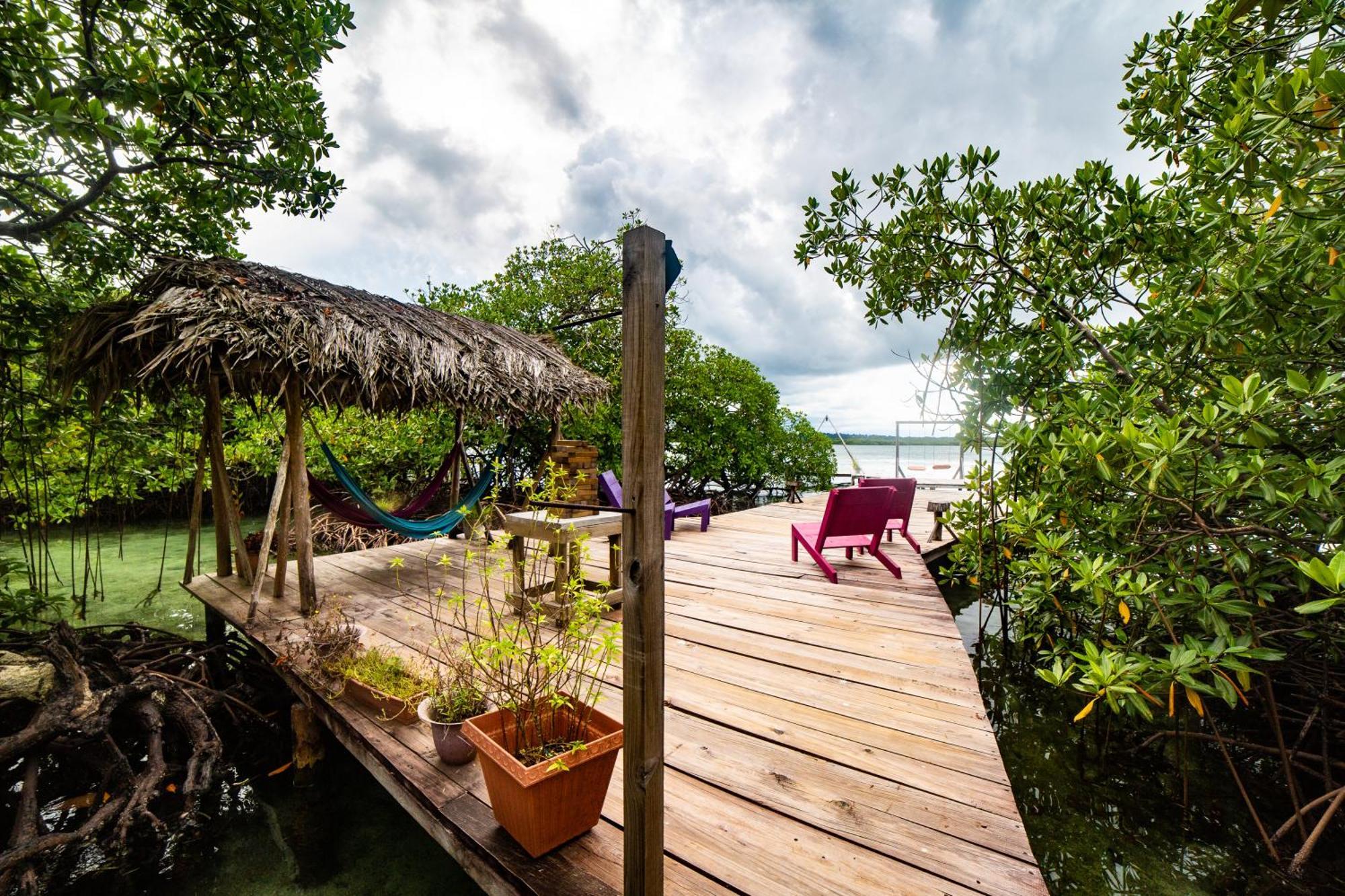 Urraca Monkey Island Eco Resort (Adults Only) Punta Laurel Zewnętrze zdjęcie